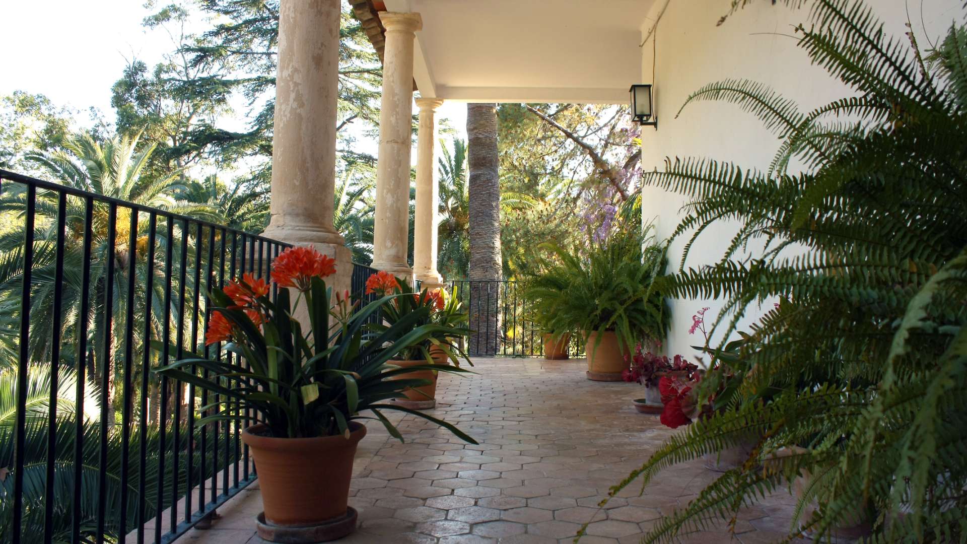 Galerie des Hauses 20 - Jardines de Alfabia