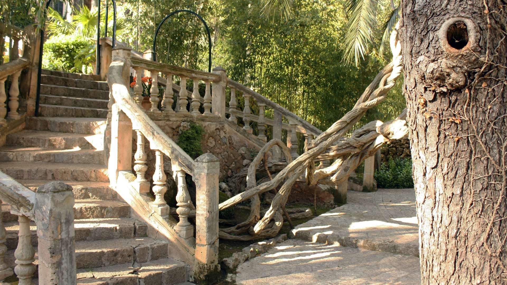 Galeria dels Jardins 14 - Jardines de Alfabia