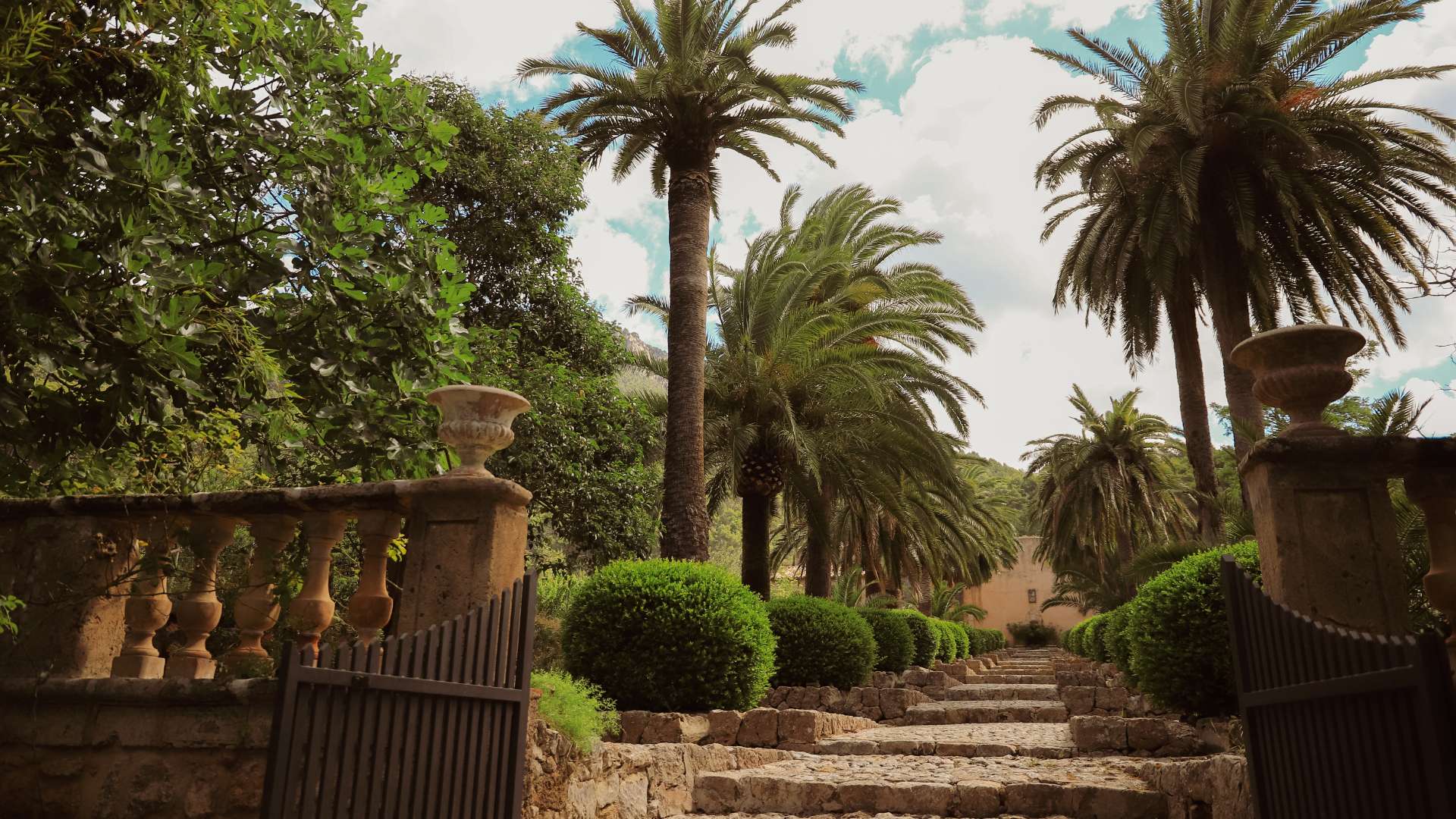Galeria dels Jardins 32 - Jardines de Alfabia