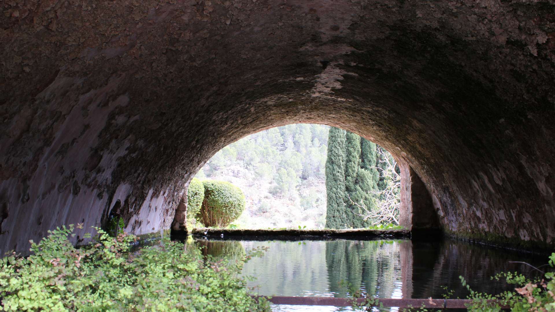 Galeria dels Jardins 36 - Jardines de Alfabia