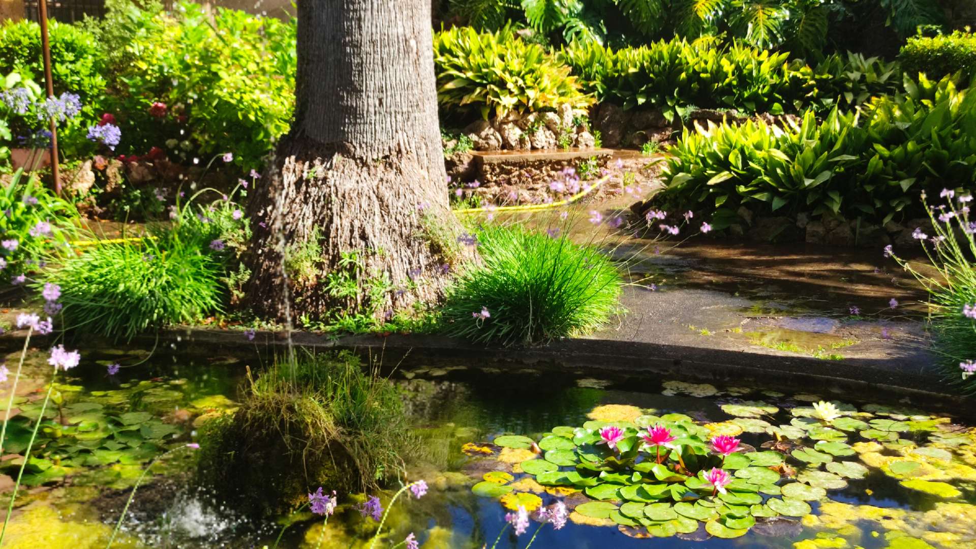 Galeria dels Jardins 38 - Jardines de Alfabia