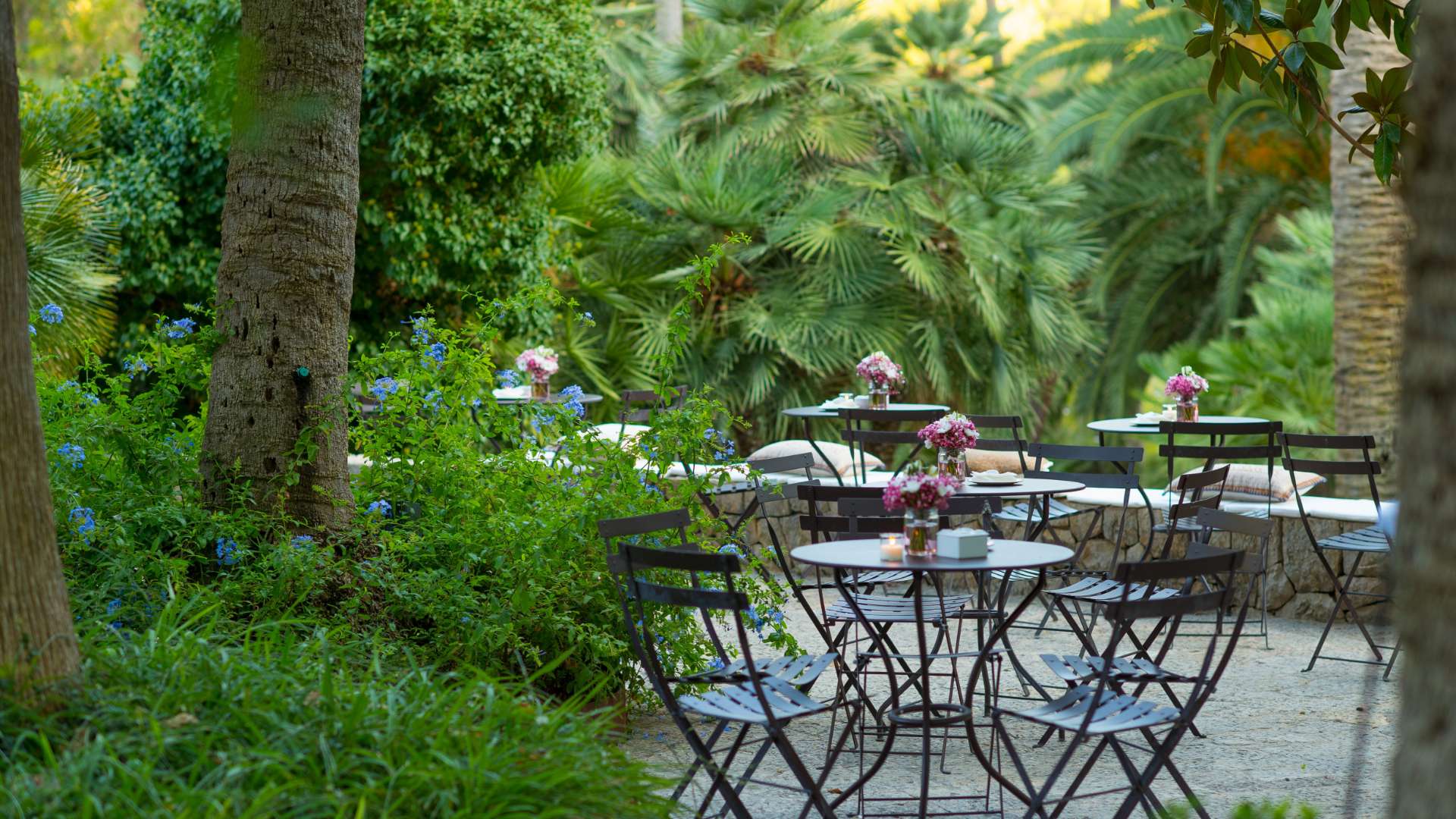 Events Gallery 18 - Jardines de Alfabia