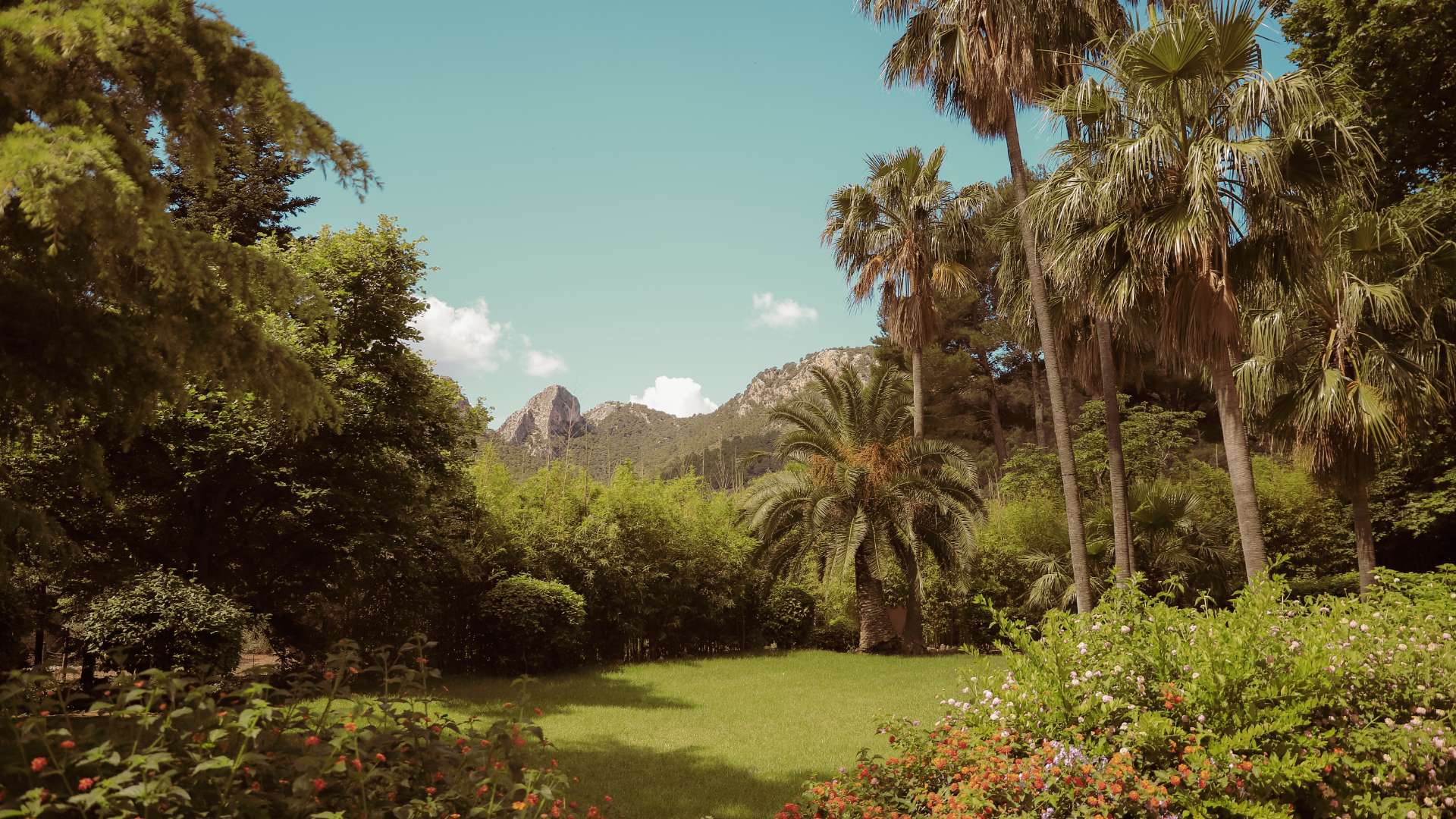 Galeria dels Jardins 42 - Jardines de Alfabia
