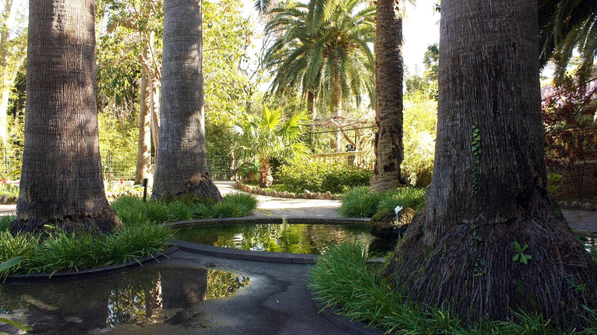 Galeria dels Jardins 46 - Jardines de Alfabia