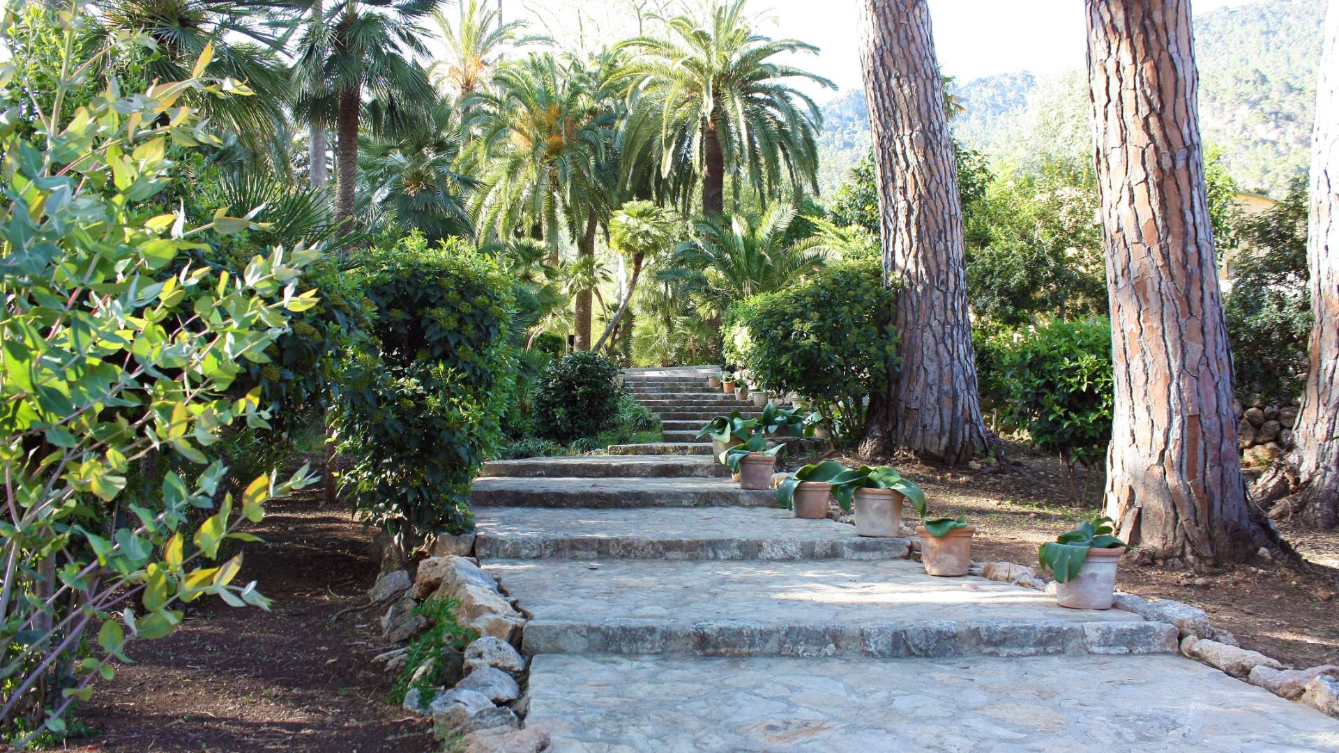 Galeria dels Jardins 4 - Jardines de Alfabia