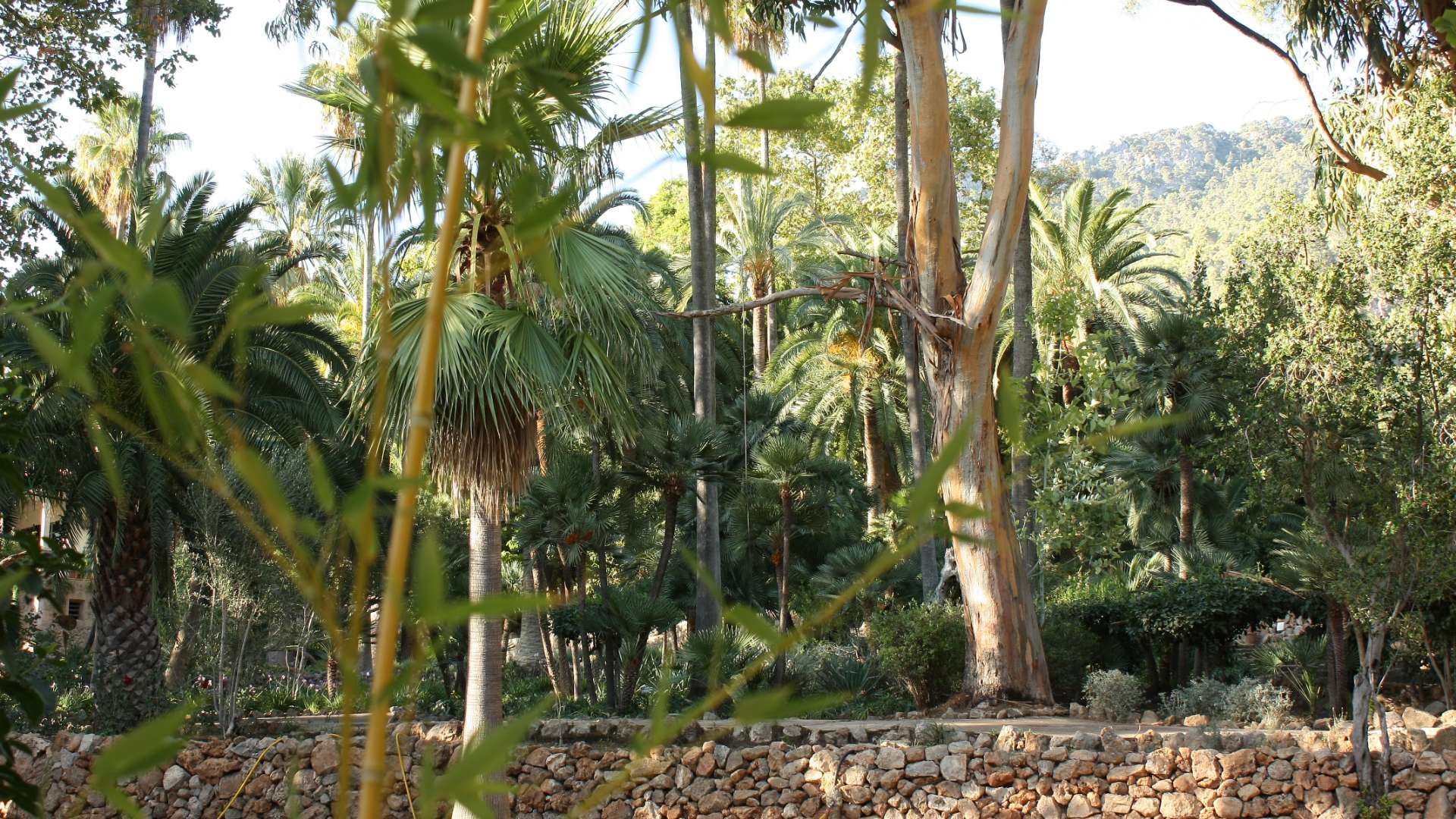 Galeria dels Jardins 6 - Jardines de Alfabia