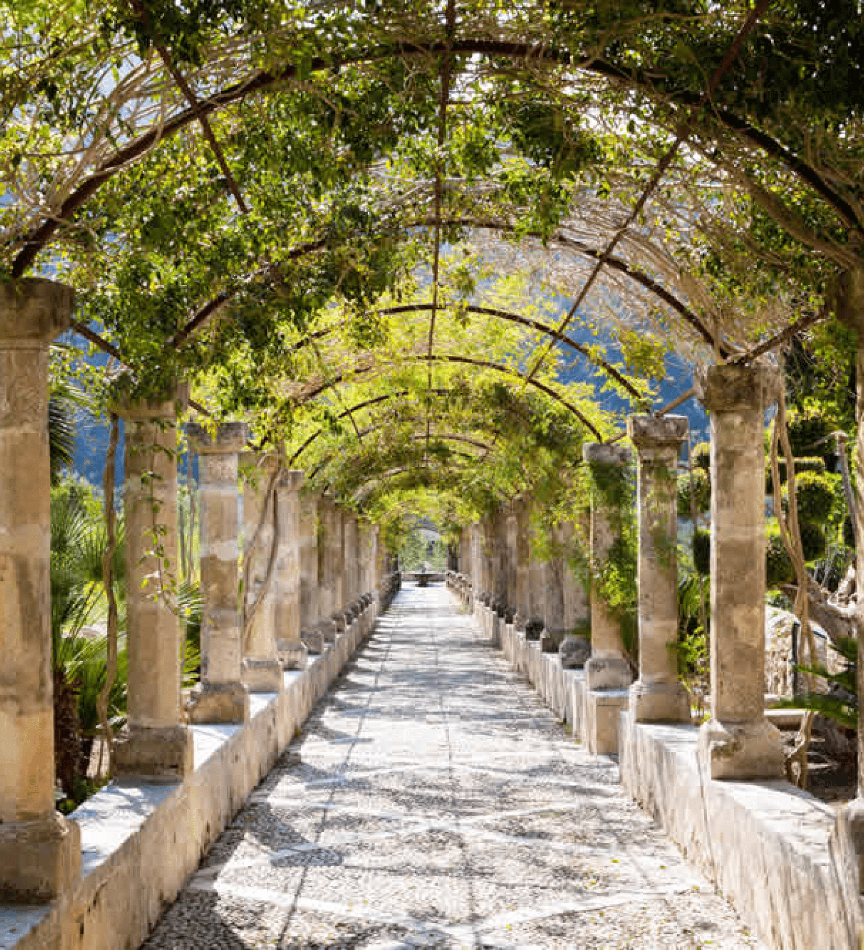 Jardines de Alfabia 4 - Jardines de Alfabia