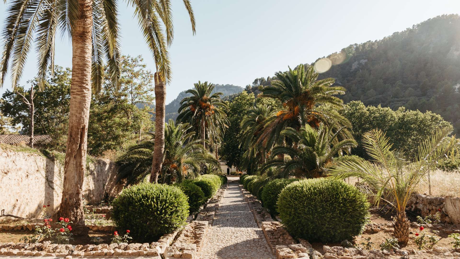 Galeria dels Jardins 28 - Jardines de Alfabia