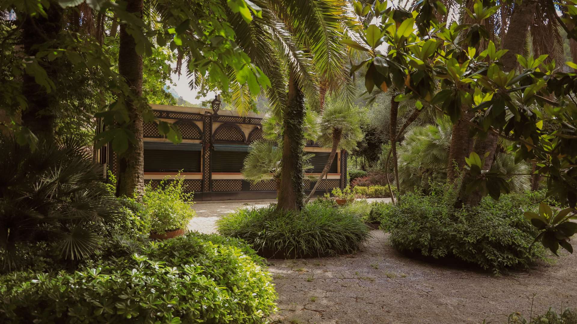 Galeria dels Jardins 48 - Jardines de Alfabia