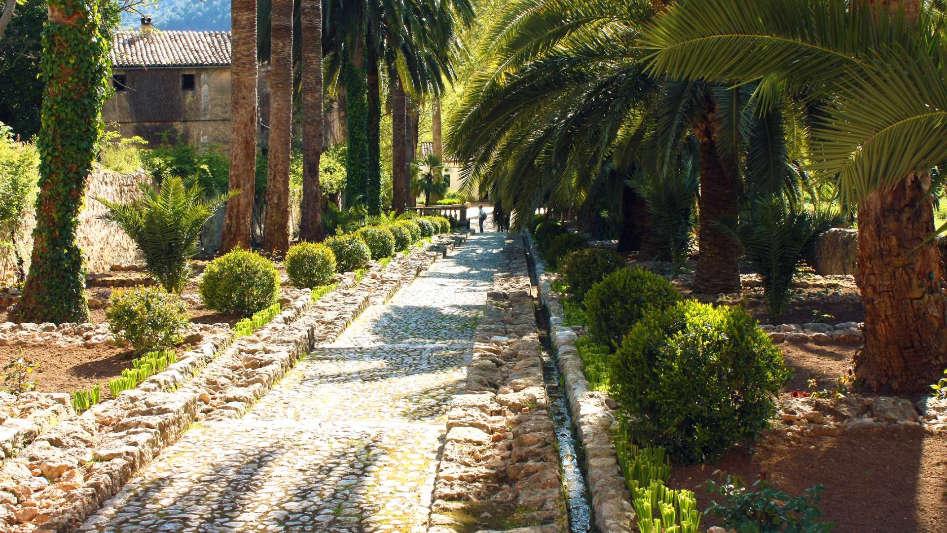 Galeria dels Jardins 26 - Jardines de Alfabia