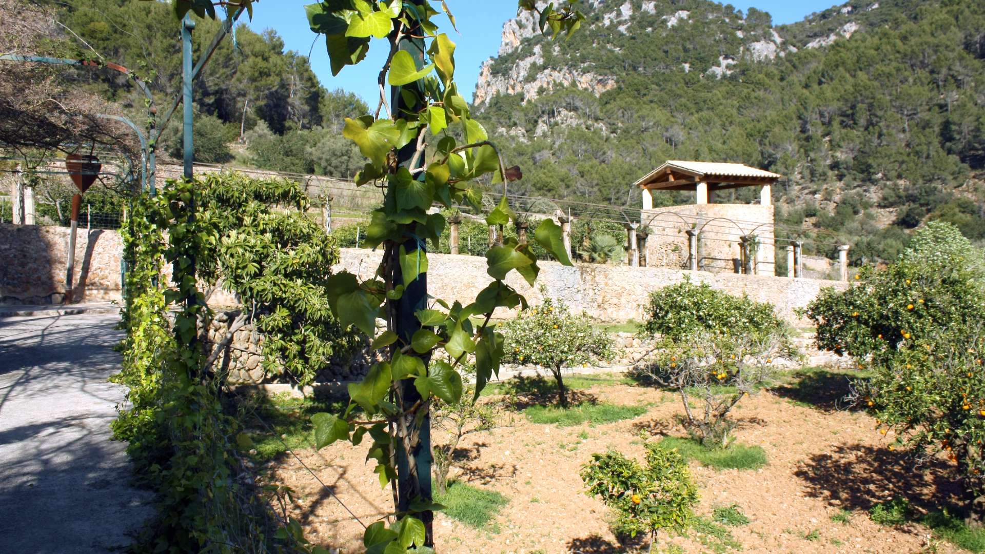 Galeria dels Jardins 24 - Jardines de Alfabia