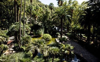 Una visita que inspira: Anna Adoue en los Jardines de Alfabia